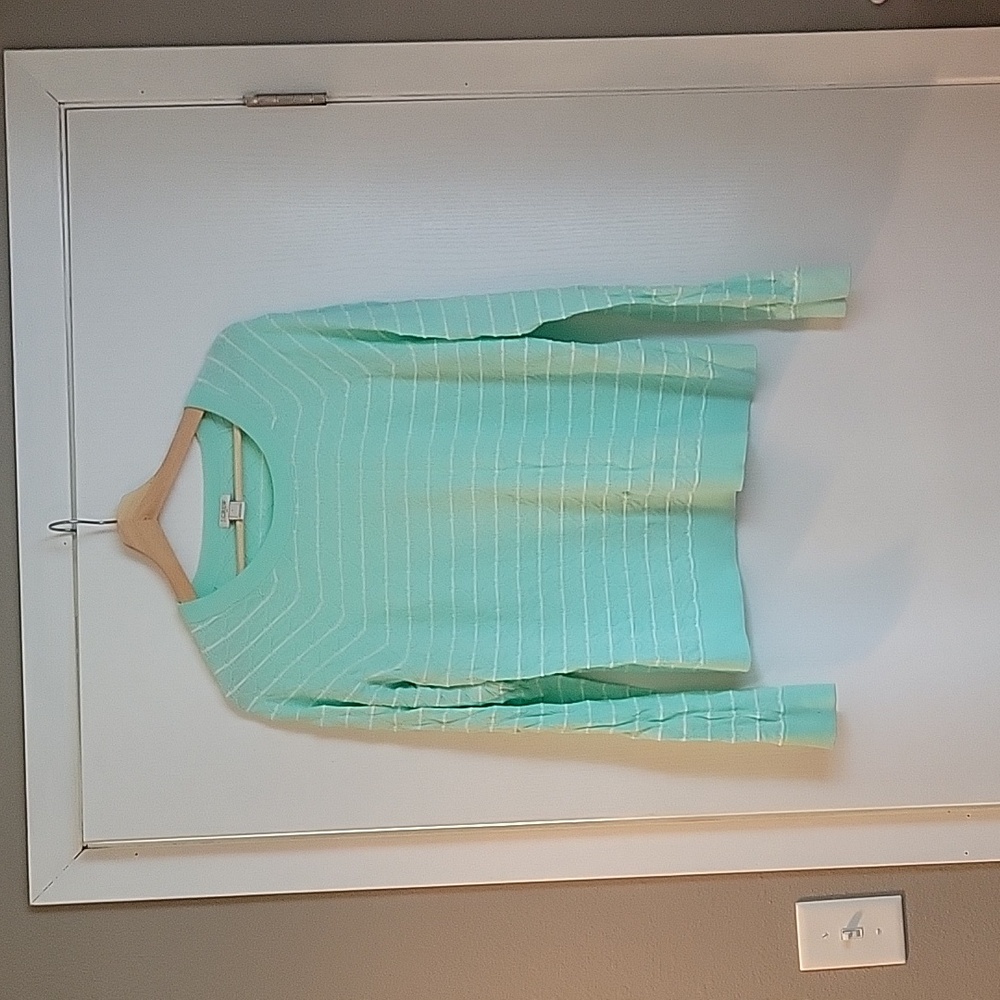 J. Crew, sweater, women's large, teal.